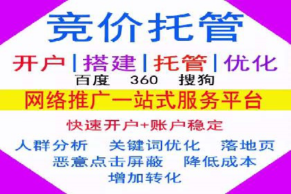 案例对比：SEO与SEM优化效果深度分析